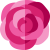 rose_1488438 rose_1488438